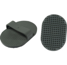 Brosse pour chevaux avec manche et picots