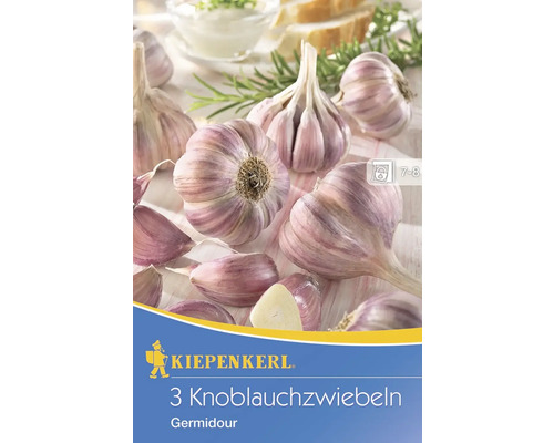 Steckzwiebeln Sperli Knoblauch 'Germidour' 3 Stk