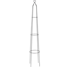 Pflanzenstütze aus Metall für den Garten