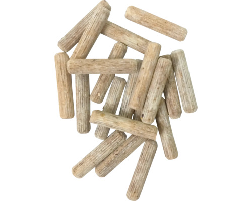 Set de culture de champignons meine ernte Pleurote en huître set complet avec 20 pieds et 3 blocs de substrat à base de copeaux de hêtre, jusqu'à 3 ans de récolte Tourillons en bois pour assemblage de bois