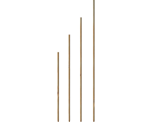 Mehrere Holzpfähle unterschiedlicher Größe