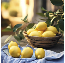 Glasbild Lemons III 30x30 cm