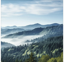 Paysage montagneux brumeux avec des pentes boisées