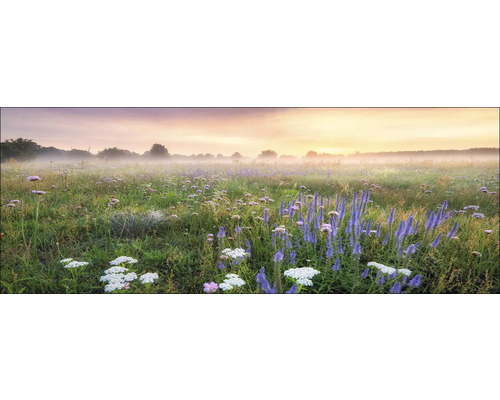 Eine Wiese mit Wildblumen im Morgenlicht