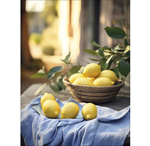Leinwandbild Lemons III 57x77 cm