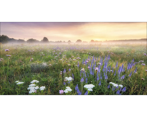 Blumenwiese mit Morgennebel und Sonnenaufgang