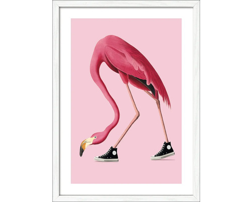 Gerahmtes Bild Flamingo With Sneakers 53x73 cm