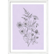 Gerahmtes Bild Flowers On Purple Color 53x73 cm