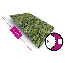 Tapis de haie mesurant de 120 à 600 cm