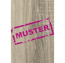 Échantillon d''une surface en bois Échantillon d''une surface en bois