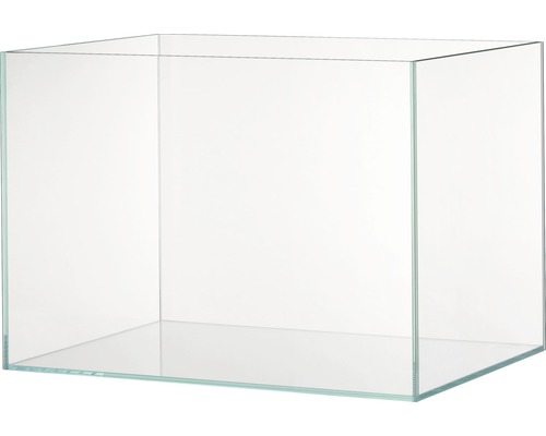 Bocal en verre Aquarium EHEIM clearTank 175 71 x 51 x 50 cm, 175 l verre blanc
