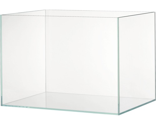Bocal en verre Aquarium EHEIM clearTank 175 71 x 51 x 50 cm, 175 l verre blanc Aquarium vide en verre pour poissons et plantes