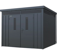 Abri de jardin avec double porte et fenêtres