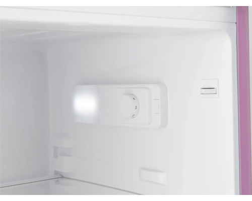 Innenansicht eines Kühlschranks mit Temperaturregler