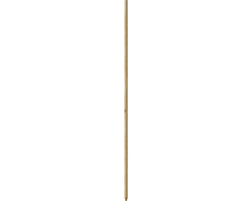 Tuteur en robinier appointé 2,1 x 2,1 x 100 cm Douelle de tonneau en bois