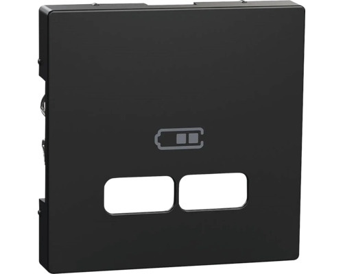 Plaque centrale pour insert de station de charge USB Merten MEG4367-0403 System M noir/mat