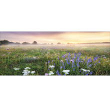 Morgenlandschaft mit Blumenwiese unter Nebel