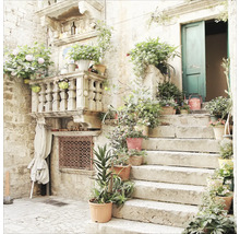 Escalier en pierre avec plantes en pot devant une maison avec balcon