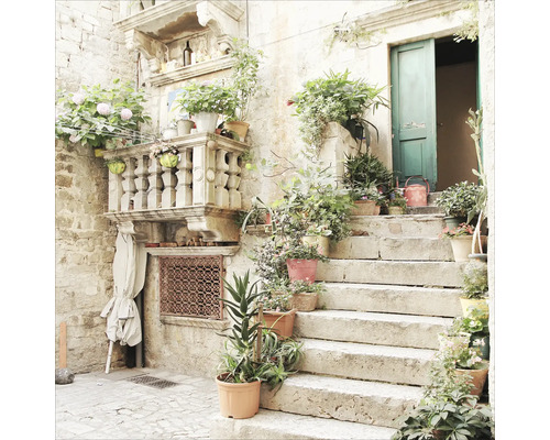Escalier en pierre avec diverses plantes en pot, balustrade et porte verte ouverte