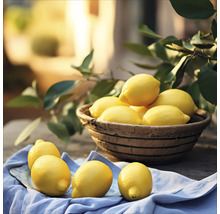 Panier de citrons sur un tissu bleu
