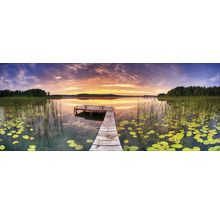 Ponton en bois sur un lac avec nénuphars et roseaux au coucher du soleil