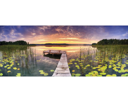 Ponton en bois sur un lac avec nénuphars et roseaux au coucher du soleil