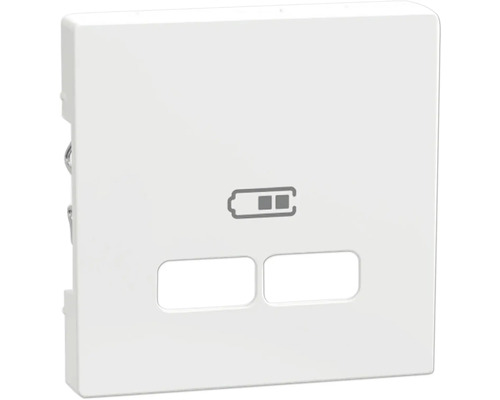 Plaque centrale pour insert de station de charge USB Merten MEG4367-0325 System M blanc/brillant