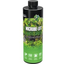 Microbe Lift Plants Green engrais pour plantes pour environ 9000 litres d''aquariums