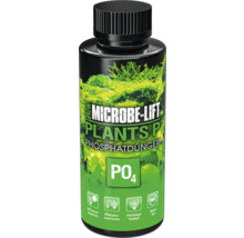 Microbe Lift Plants P Engrais phosphaté en flacon