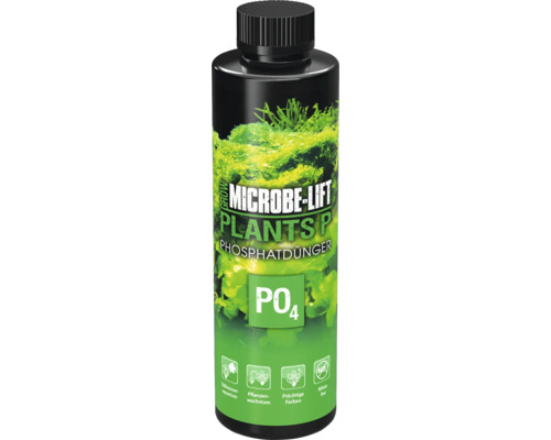 Microbe-Lift Plants P Engrais phosphaté en bouteille