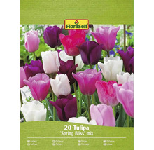 Emballage de tulipes Spring Bliss Mix de FloraSelf avec 20 pièces
