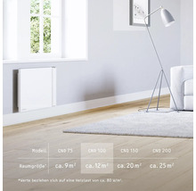 Espace de vie avec chauffage électrique, lampadaire et tapis ainsi que des informations de taille dans un tableau