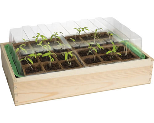 Mini serre romberg serre de culture en bois M 37 x 24 x 13 cm contient 1x caisse en bois, 1x bac, 1x capot, 25x pots de culture Caissette de culture en bois avec godets et couvercle transparent