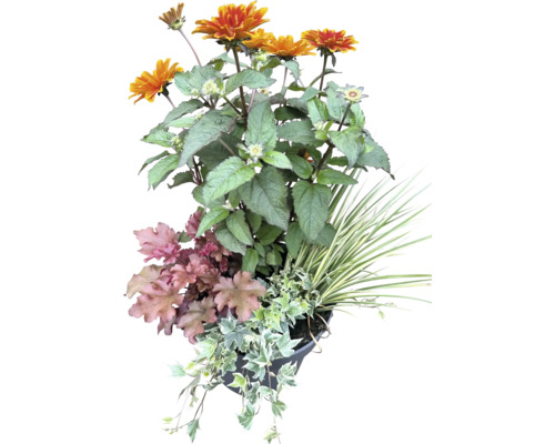 Blumenarrangement mit Rudbeckien, Purpurglöckchen, Efeu und Ziergräsern in einem Topf