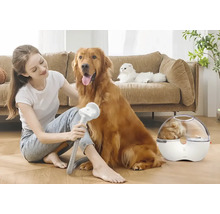 Femme brosse un chien avec une brosse pour animaux, un chat est allongé sur un canapé, un chat est assis dans une cage de transport