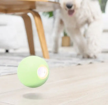 Interaktiver Ball für Hunde mit Hund im Hintergrund