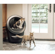 Zwei Katzen in der Nähe einer selbstreinigenden Katzentoilette in einem hellen Raum.