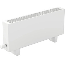Heizkörper mit Thermostat zur Raumheizung