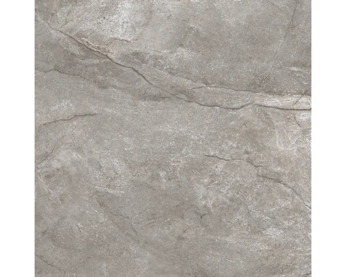 Carrelage sol et mur en grès-cérame fin Wells 120 x 120 x 1,07 cm moka marron brillant rectifiée Carrelage de sol gris avec décor en pierre