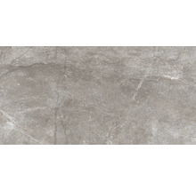 Carrelage sol et mur en grès-cérame fin Wells 60 x 120 x 1,05 cm moka marron brillant rectifiée