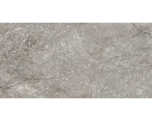 Carreau de sol gris avec motif de pierre