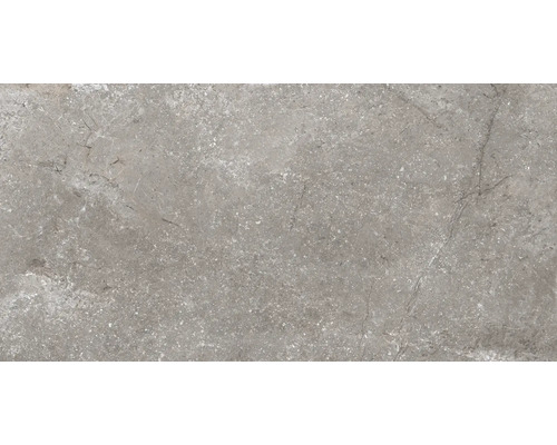 Carrelage de sol gris avec surface marbrée.