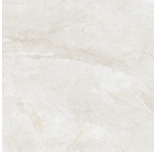 Carrelage sol et mur en grès-cérame fin Wells 120 x 120 x 1,07 cm cream beige brillant rectifiée