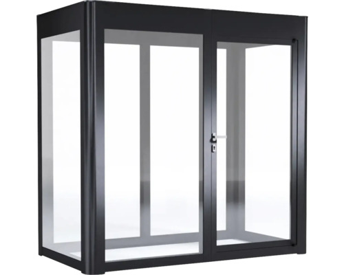 Sas d''entrée avec portes en verre et cadre