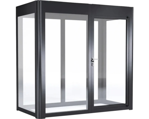 Porte d''entrée avec éléments en verre et cadre en métal