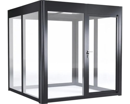 Structure en verre autoportante avec porte