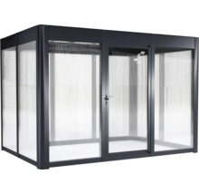 Abri de jardin avec porte et murs transparents
