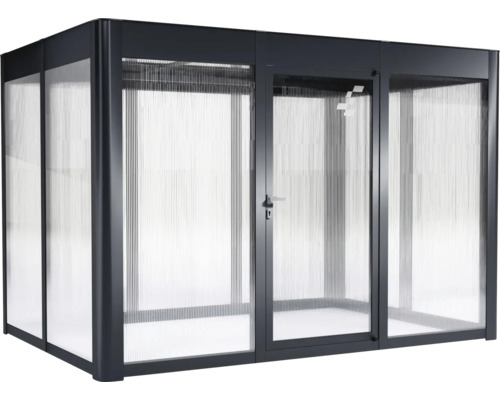Abri de jardin avec porte et murs transparents