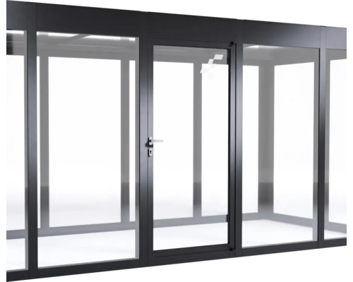 Porte supplémentaire SunElements verre acrylique clair 6 mm 90 x 197 cm anthracite Toit de terrasse vitré avec porte