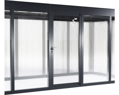 Porte supplémentaire SunElements à plaque alvéolaire 10 mm 90 x 197 cm anthracite Toit de terrasse en plusieurs parties avec porte et verre profilé